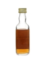 Macallan 10 Year Old  5cl / 40%