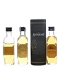Antiquary  3 x 5cl / 40%