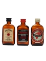 3 x Scotch Whisky Miniatures 