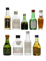 Assorted Spirits Brandy, Eau De Vie, Rum, Vodka 9 x 2.8cl-5cl