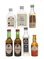Assorted Rum Bacardi, Jacobi, Montana, Negrita 7 x 3cl-5cl