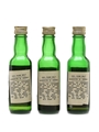 Springbank 5, 8 & 10 Year Old Bottled 1970s - Consirzio Vinicolo 3 x 3.7cl / 43%
