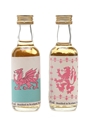 The Whisky Connoisseur Bottled 1999 2 x 5cl / 40%