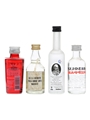 4 x Assorted Vodka Miniatures