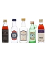 5 x Assorted Gin Miniatures
