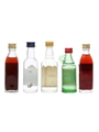 5 x Assorted Gin Miniatures