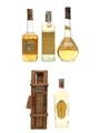Assorted Liqueurs Bols, Cusenier, Cubay & Stock 5 x 70cl-75cl