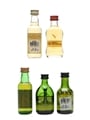 Assorted Island Scotch Whisky Arran, Isle Of Jura, Talisker & Tobermory 5 x 5cl