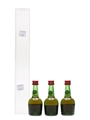 Courvoisier 3 Star Luxe Gift Set 3 x 3cl  / 40%
