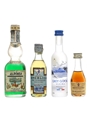 Assorted Spirits & Liqueurs Alpinea, Angelica, Grey Goose, Branca Brandy 4 x 2cl-10cl