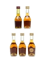 Martell VS & Cordon Rubis  5 x 3cl / 40%