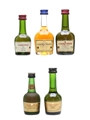 Courvoisier 3 Star Luxe, VS & VSOP  3 x 3cl-5cl / 40%