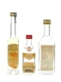 Assorted Fruit Brandy Berghof, Bolyhos & Schladerer 3 x 3cl-10cl