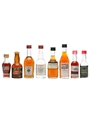 8 x Assorted Liqueurs Miniatures 