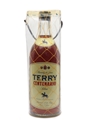 Brandy de Jerez Centenario  200cl / 36%