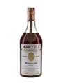 Martell Medaillon VSOP Bottled 1970s - Spirit 75cl / 40%