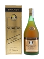 D Campeny Napoleon 12 Year Old VSOP Bottled 1980s 100cl / 38%