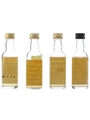 Assorted 10 Year Old Blended Scotch Whisky Durham City, Lover's Potion, Esplanade, Little Ross 4 x 5cl