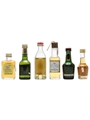 6 x Assorted Whisky & Whisky Liqueur Miniatures