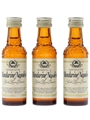 Mandarine Napoleon  3 x 3cl / 38%