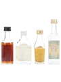 Assorted Rum Bacardi, Bardinet, Captain Morgan, Ron Morita 4 x 3cl-6cl