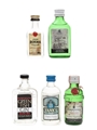 Assorted Gin & Jenever Bokma, Gordon's, Green Fish, Tann's, Tanqueray 5 x 5cl / 40%