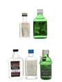 Assorted Gin & Jenever Bokma, Gordon's, Green Fish, Tann's, Tanqueray 5 x 5cl / 40%