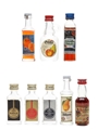 Assorted German Eau De Vie & Liqueurs  8 x 2cl