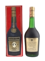 Martell Medaillon VSOP Bottled 1970s - Spirit 70cl / 40%