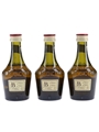 Benedictine DOM  3 x 5cl / 40%