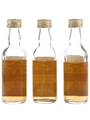Campbeltown Commemoration 12 Year Old Glengyle, Springside & Toberanrigh 3 x 5cl / 40%