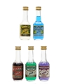 Assorted Bols Liqueurs Blue Curacao, Cherry, Creme De Bananes, Green Curacao & Parfait Amour 5 x 3.5cl