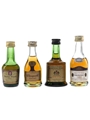 Assorted Cognac Baron Otard, Bisquit, Prince Hubert De Polignac & Salignac 4 x 3cl-5cl / 40%