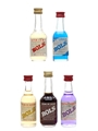 Bols Liqueurs Apricot, Creme De Bananes, Blue Curacao, Creme De Cacao & Parfait Amour 5 x 3.5cl