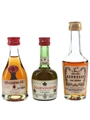 Bisquit, Courvoisier, Hennessy Bottled 1970s 3 x 3cl-5cl / 40%