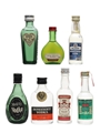 Assorted Spirits Armagnac, Geneva, Vodka 7 x 3cl-5cl