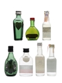 Assorted Spirits Armagnac, Geneva, Vodka 7 x 3cl-5cl