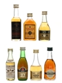 Assorted Brandy Bardinet, Carlos III, Grand Trianon, J. Laine, KWV, St Michael & Three Barrels 7 x 3cl-5cl