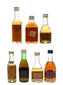 Assorted Brandy Bardinet, Carlos III, Grand Trianon, J. Laine, KWV, St Michael & Three Barrels 7 x 3cl-5cl