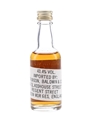 Wild Turkey Bottled 1980s - Austin Nichols 5cl / 43.4%