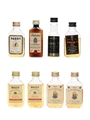 Assorted Blended Scotch & Irish Whiskey 8 x 5cl