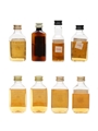 Assorted Blended Scotch & Irish Whiskey 8 x 5cl
