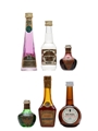 Assorted Liqueurs Aurum, Bols, Casoni, Marie Brizard & Monin 6 x 5cl