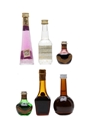 Assorted Liqueurs Aurum, Bols, Casoni, Marie Brizard & Monin 6 x 5cl