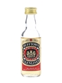 Dufftown Glenlivet 8 Year Old Bottled 1980s 5cl / 40%
