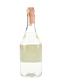 Serafino Levi Neive Alba 2001  70cl / 48%