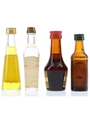 Assorted Liqueurs Galliano, Mandarine Napoleon, Strega & Tia Maria 4 x 3cl-5cl