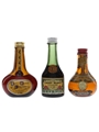 Cusenier Liqueurs Bottled 1950s - Apricot Brandy, Cherry Brandy & Orange Curacao 3 x 5cl