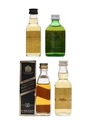 Assorted Blended Scotch Whisky Bailie Nicol Jarvie, Black & White, Johnnie Walker & Whyte & Mackay 4 x 5cl / 40%