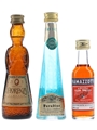Assorted Liqueurs Casoni, Florenza & Ramazzotti 3 x 3cl-5cl